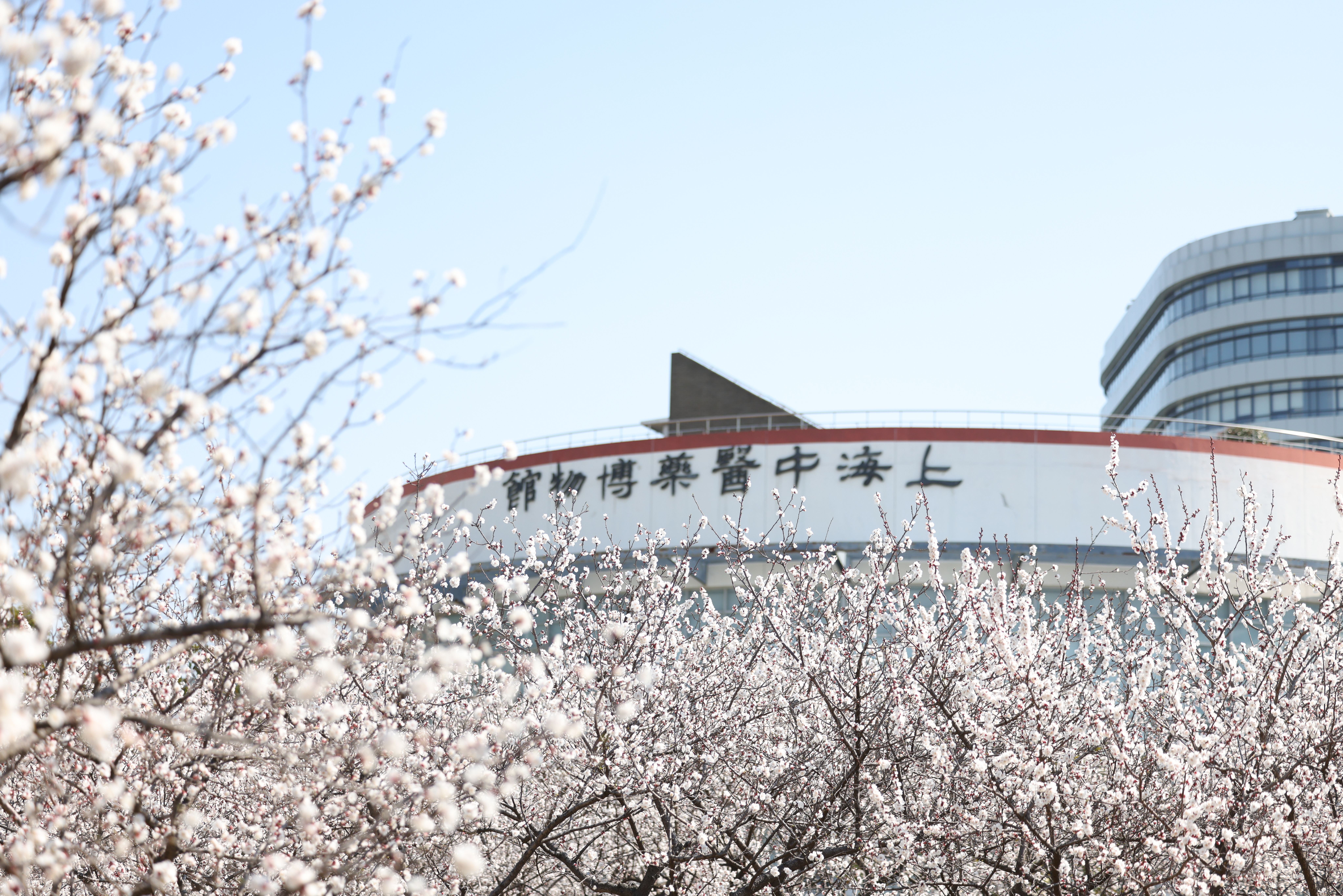 校园风景